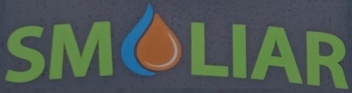 Дизельне паливо (Євро 5), АЗС SMOLIAR, картка